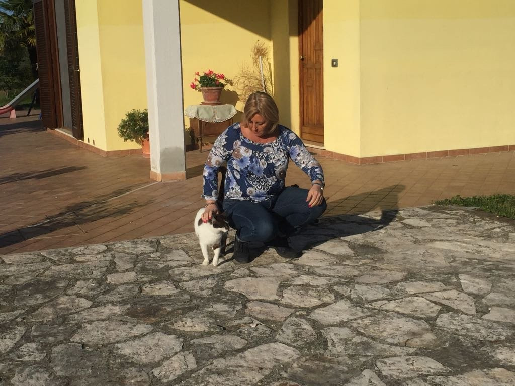 B&B La Casa Nell'Oliveto主图