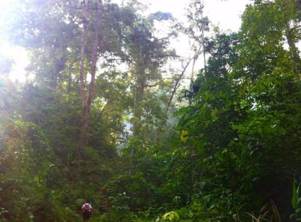 Manusela National Park-Seram Island必去景点
