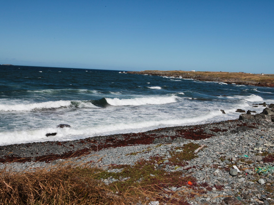 Cape Shore Trail景点图片