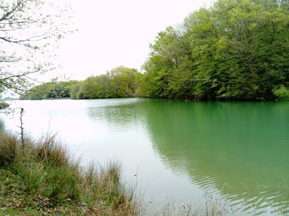Le Lac de Lupiac景点图片