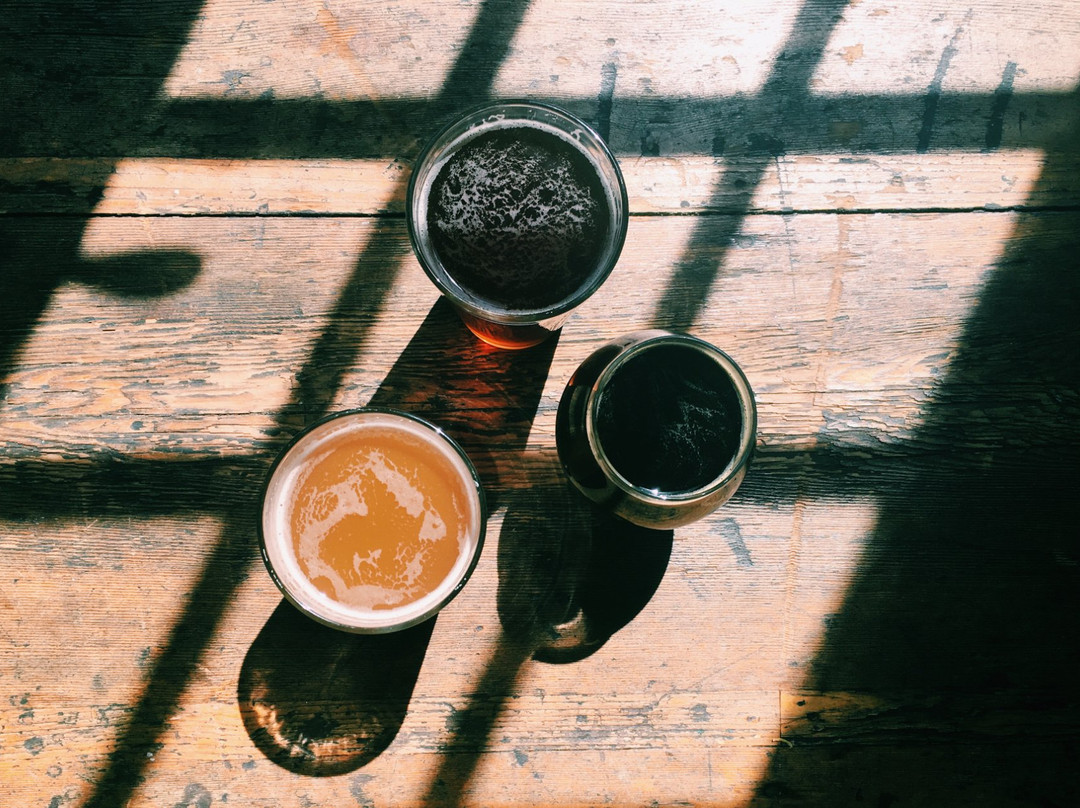 Doylestown Brewing Company - Hops Bar & Grill景点图片