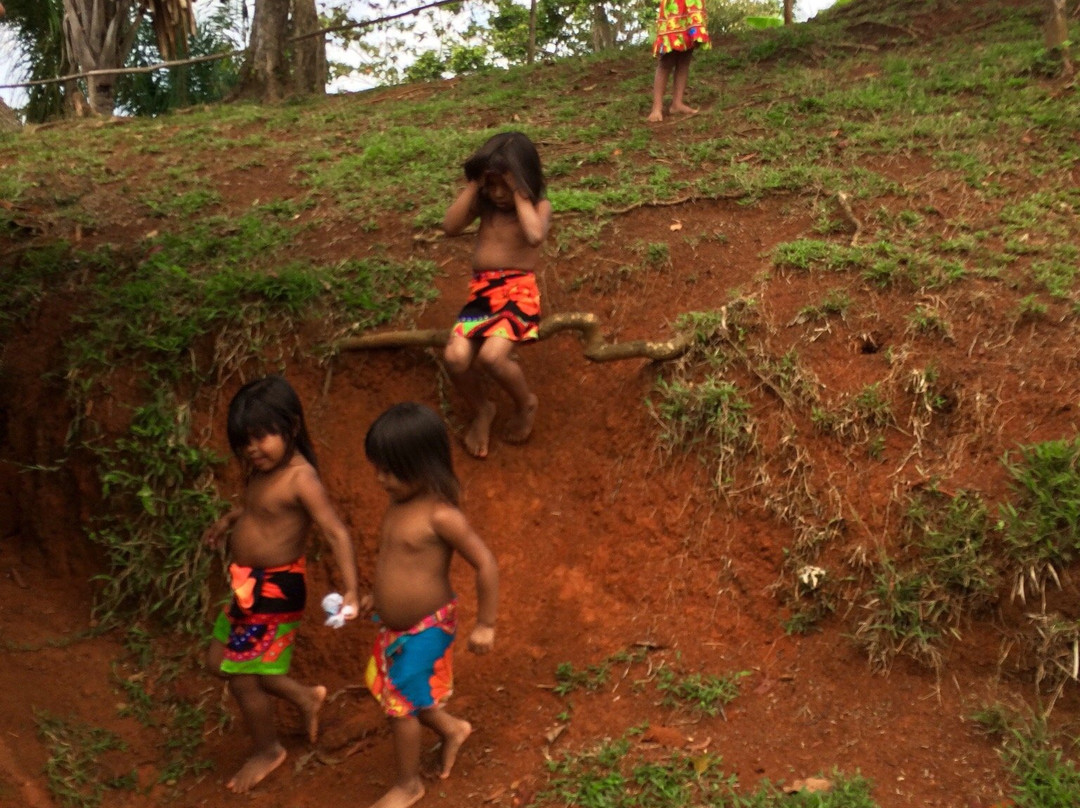 Gatun Eco Adventures景点图片