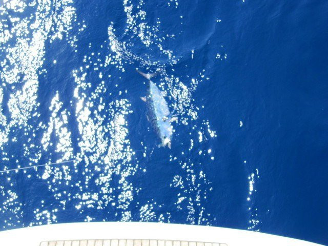 IonianSail-Marathopoli必去景点