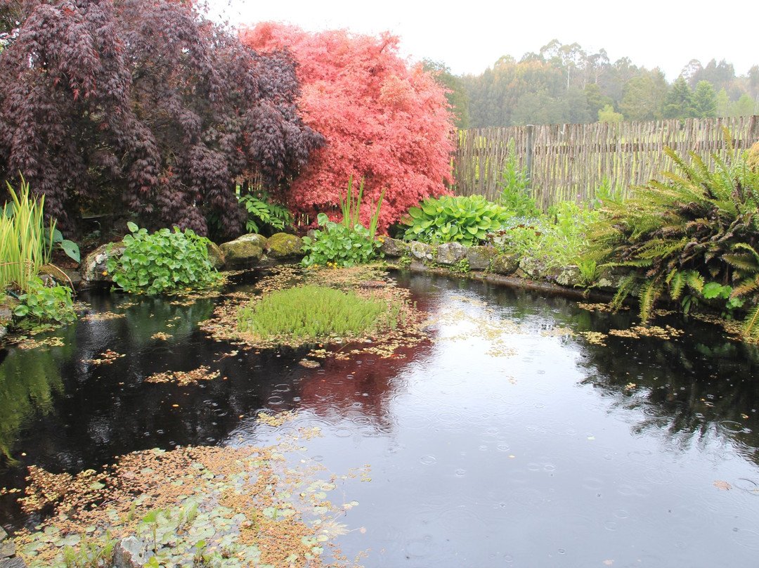 Devonport旅游景点-Kaydale Lodge Gardens