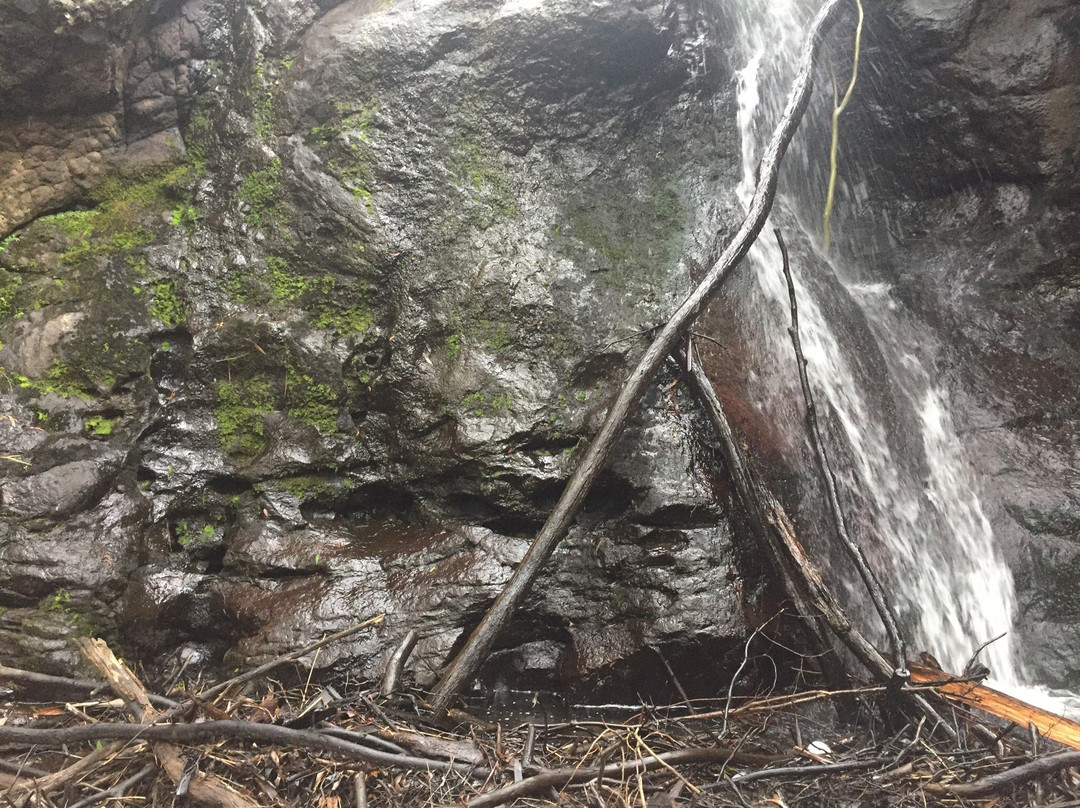 Stanley Park-马其顿山必去景点