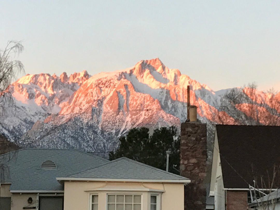 Lone Pine Budget Inn & Motel主图