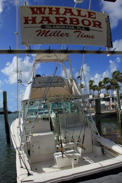 Miller Time Sport Fishing-伊斯拉摩拉达必去景点