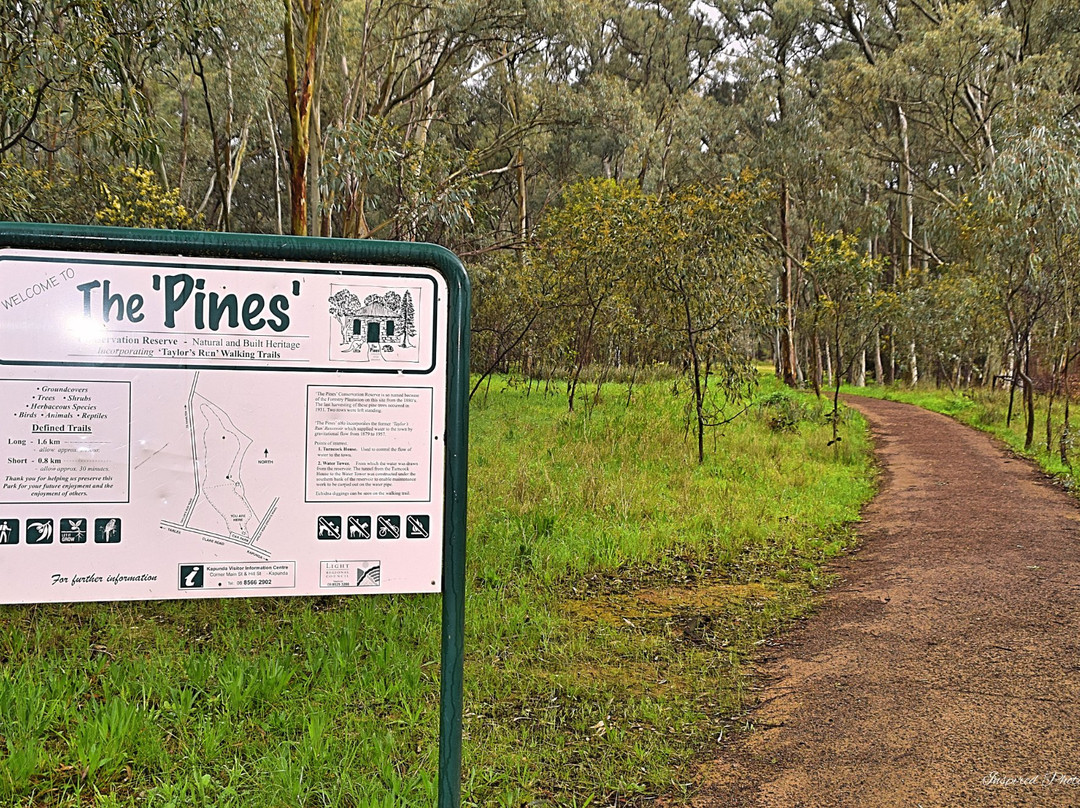 Pines Conservation Reserve景点图片