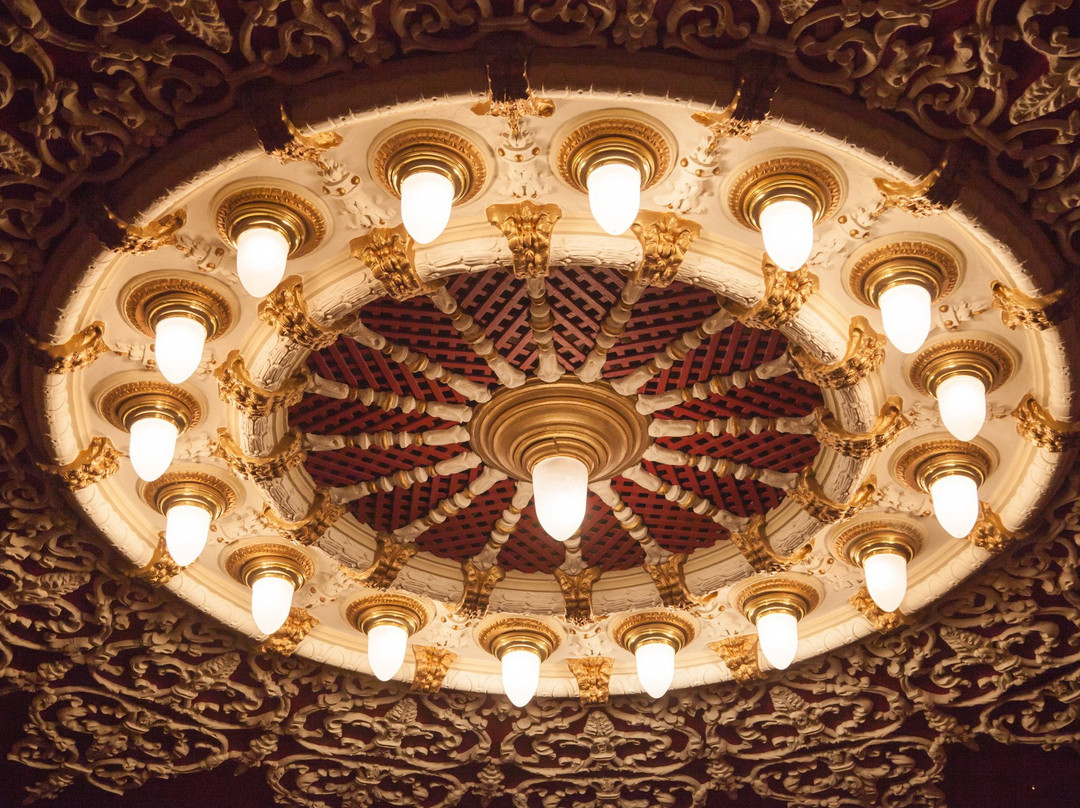TEATRO CHAPÍ景点图片