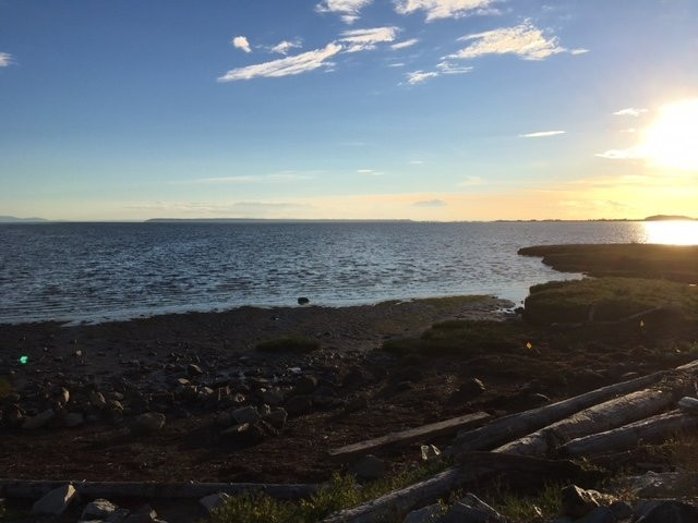 Mud Bay Park景点图片