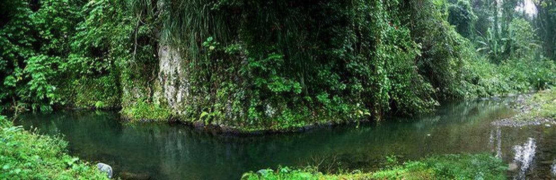 Hacienda Carvajal-Ciales必去景点