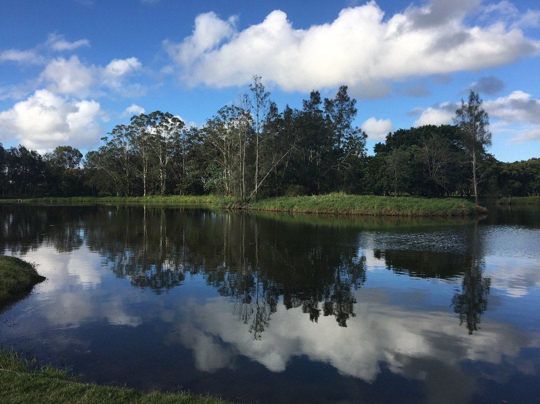 Pine Rivers Park景点图片