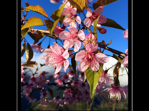 无量山-景东彝族自治县必去景点