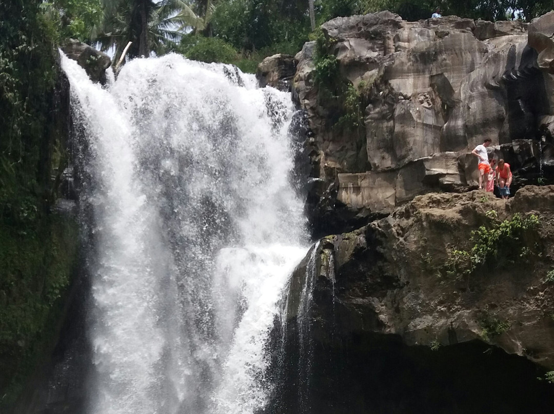 Wenten Bali Tour景点图片