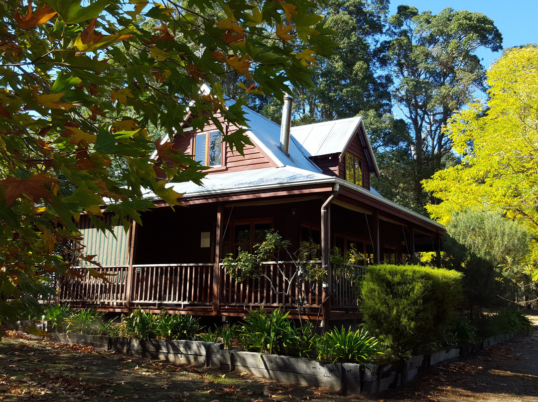 RedGum Hill Country Retreat主图