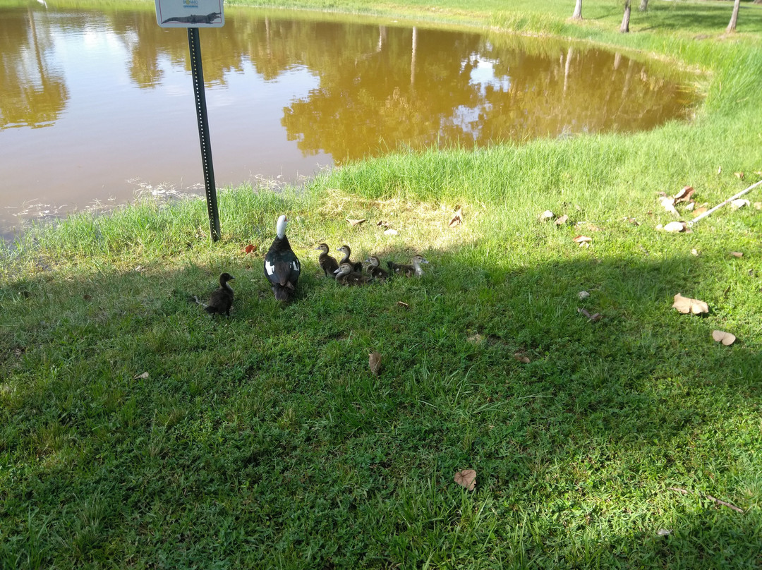 Easterlin Park-Oakland Park必去景点