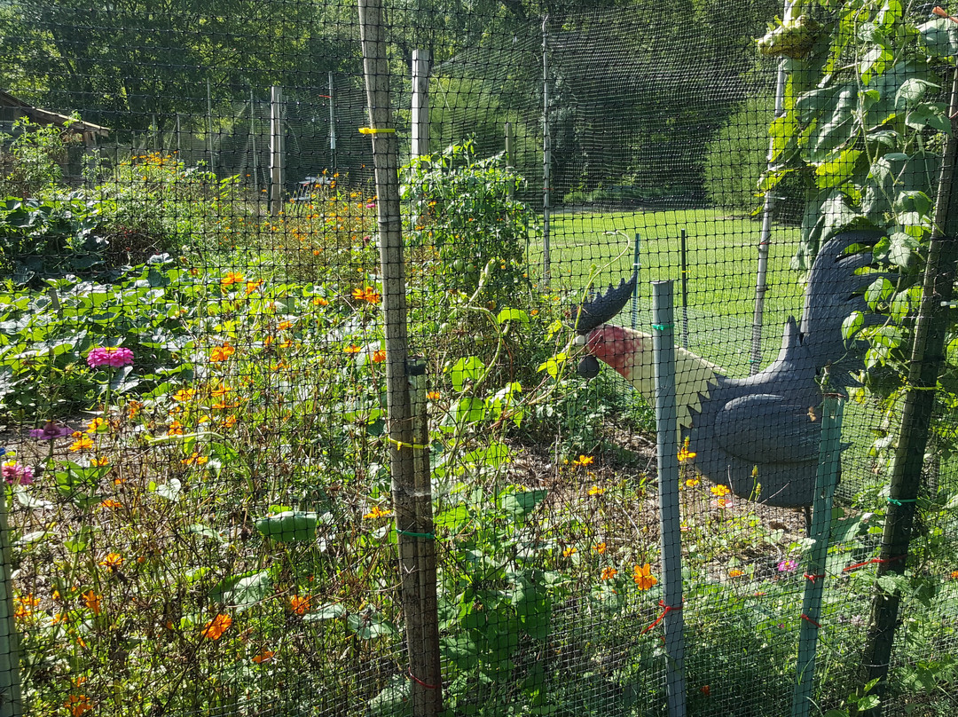 Greenway Farms Conference Center-Hixson必去景点