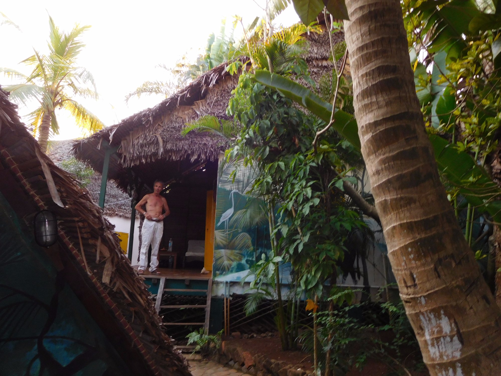 Bungalows Ambonara-官方