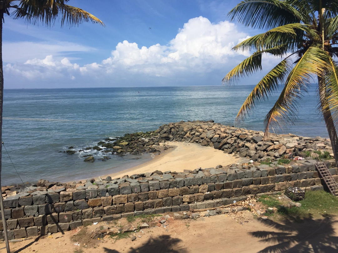 Chameleon Beach Lodge