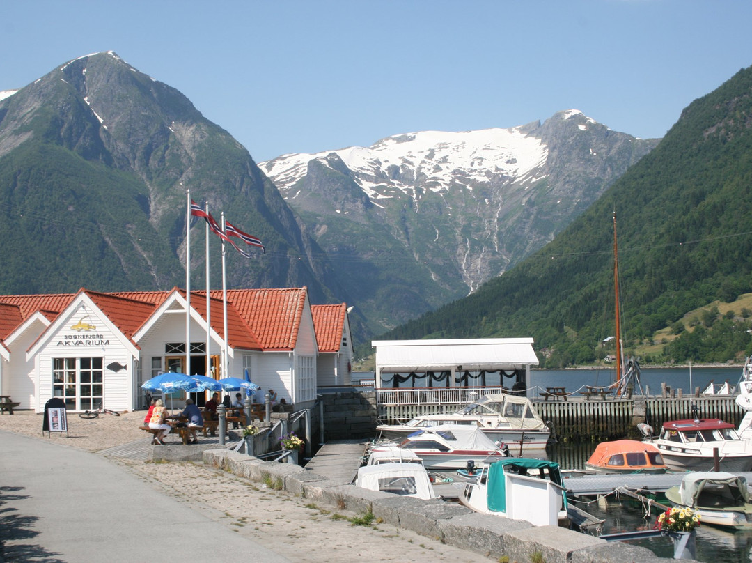 Sognefjord Akvarium景点图片