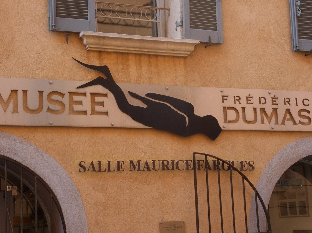 Musée International de la Plongée Autonome Frédéric Dumas景点图片