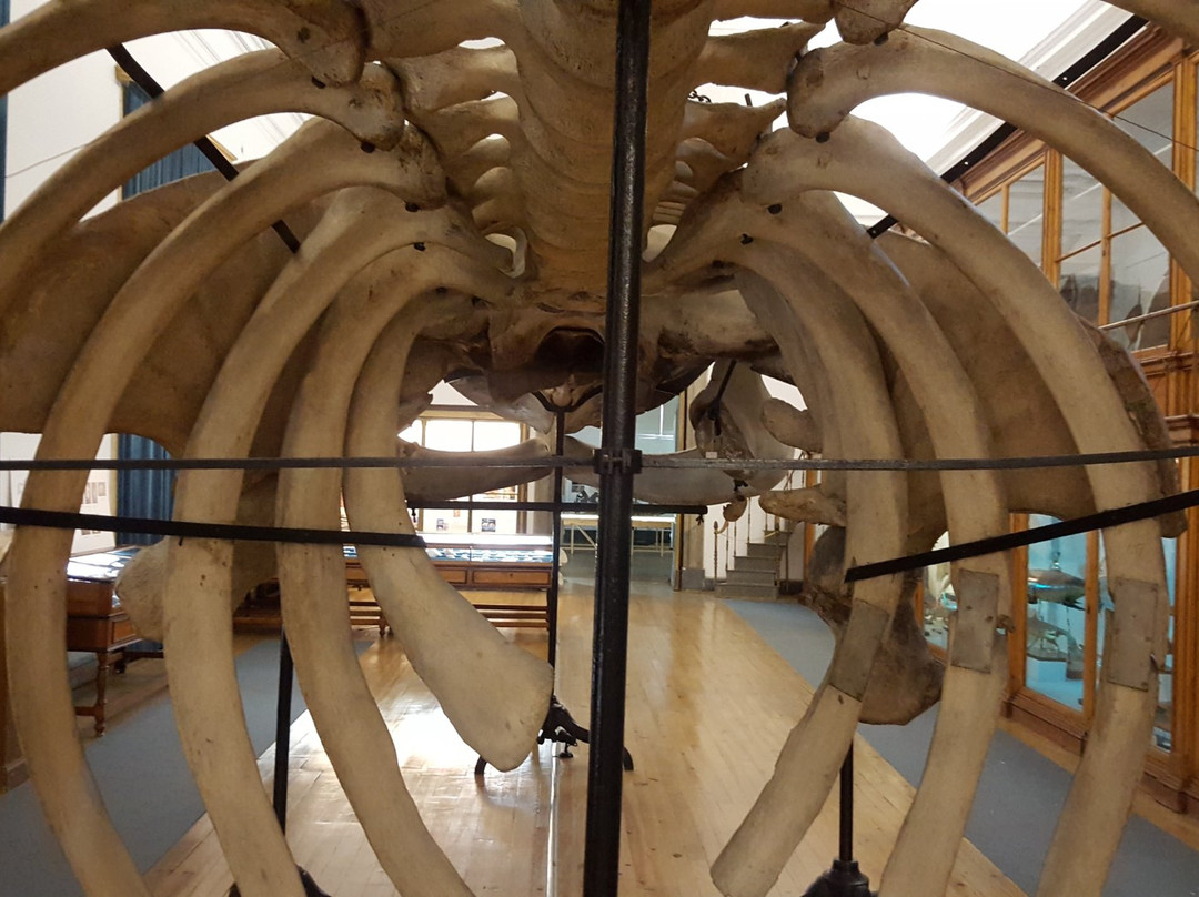 Museu de Zoologia-科英布拉区必去景点