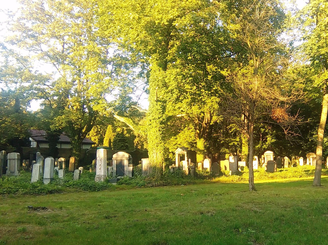 Cmentarz Zydowski景点图片