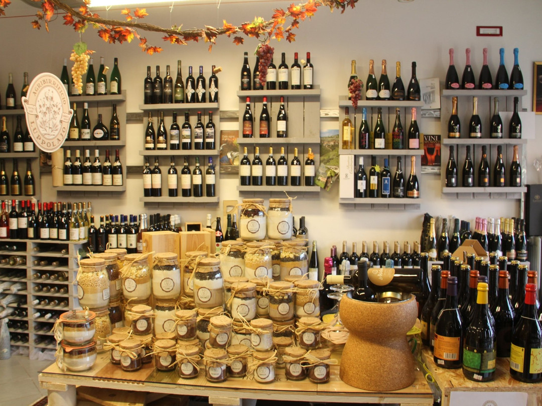 Di-Vinità Shop & Blog景点图片