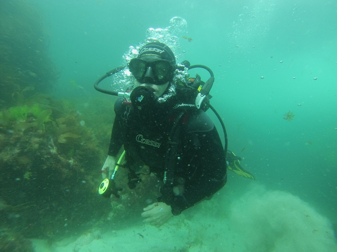 Buceo Malpica-Malpica de Bergantinos必去景点