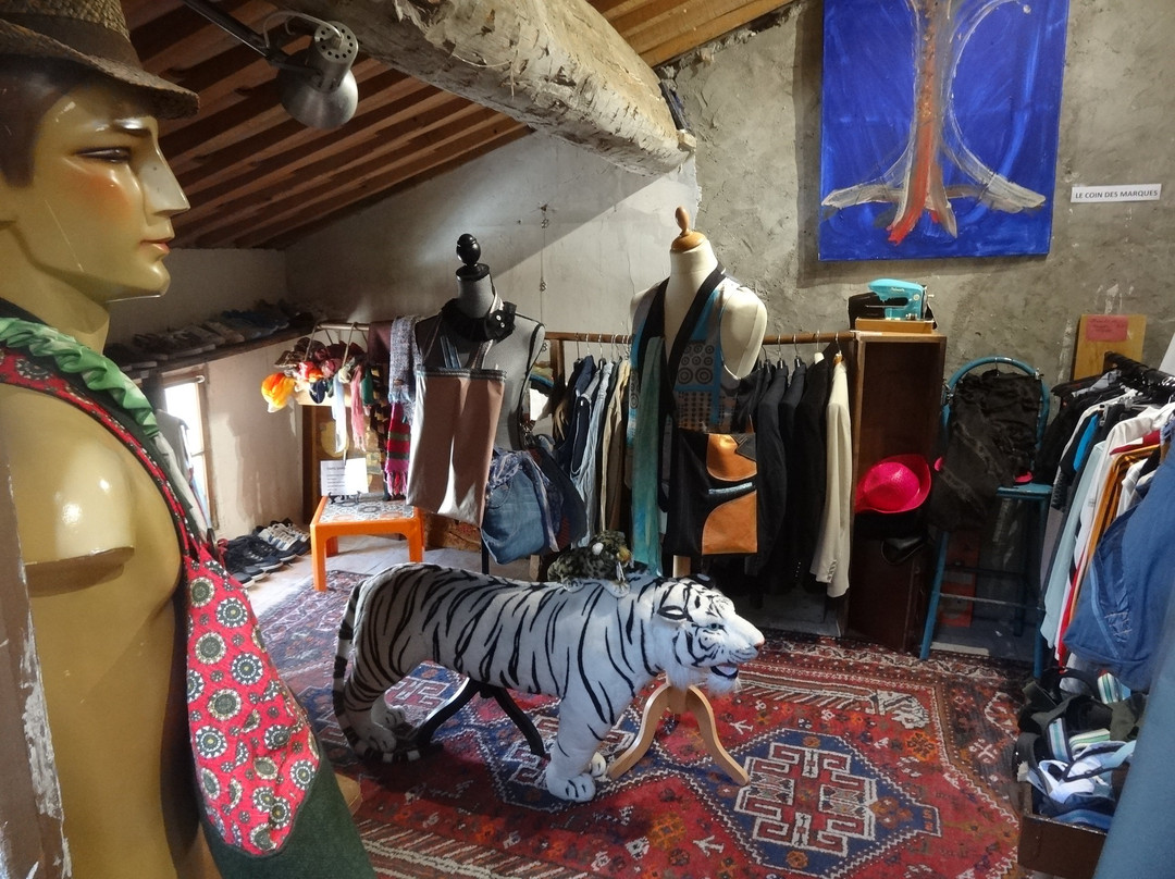 SHOW ROOM 16 Paraza-Paraza必去景点