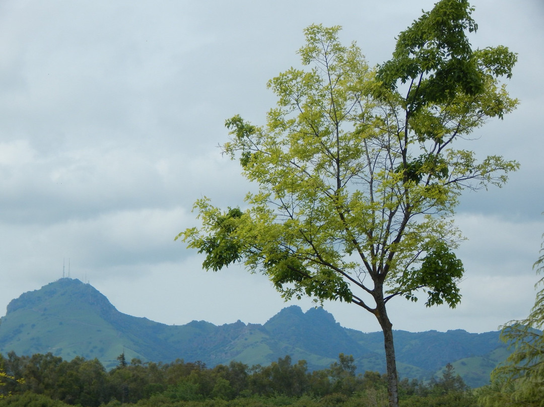 Sutter Buttes-尤巴城必去景点