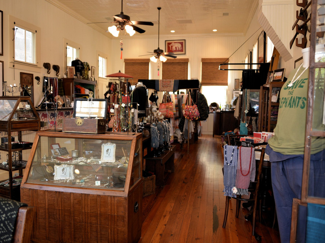 The Elephant Story-Comfort必去景点