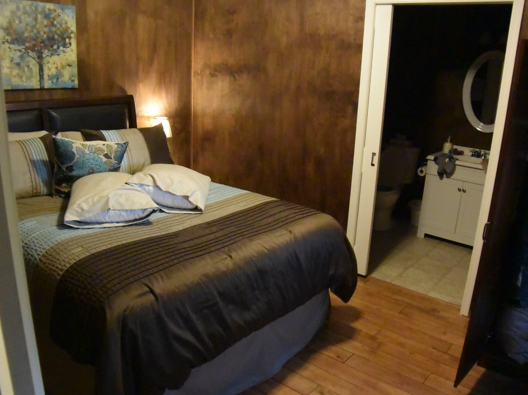 Mossbank酒店住宿-Orchard View Bed And Breakfast