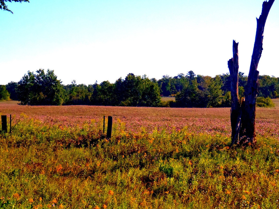 Paul Bunyan State Trail-Brainerd必去景点