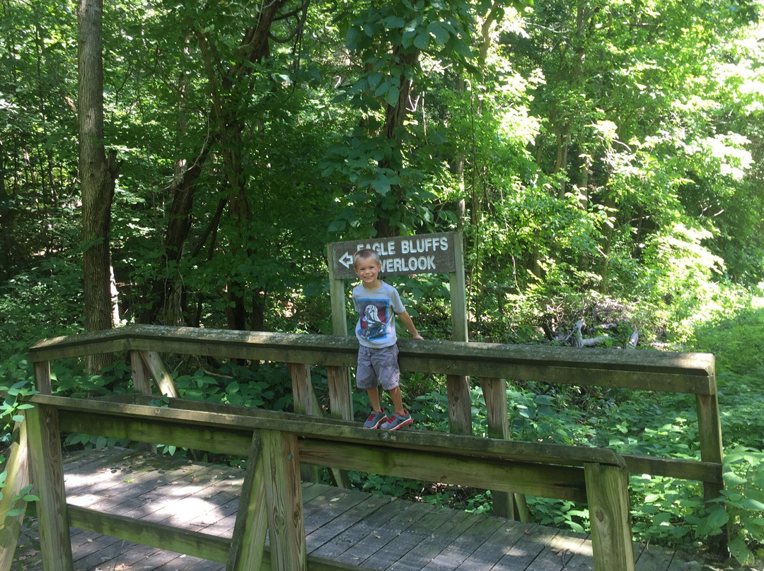 Eagle Bluffs Conservation Area-哥伦比亚市必去景点