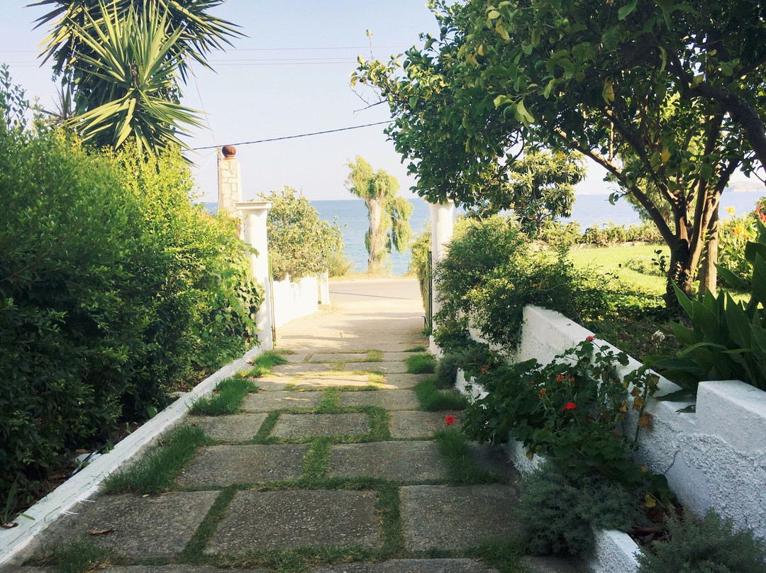 Nefi Guesthouse主图