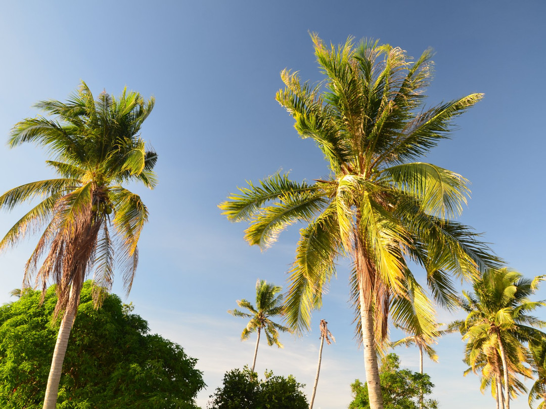 Berhala Island-占碑必去景点