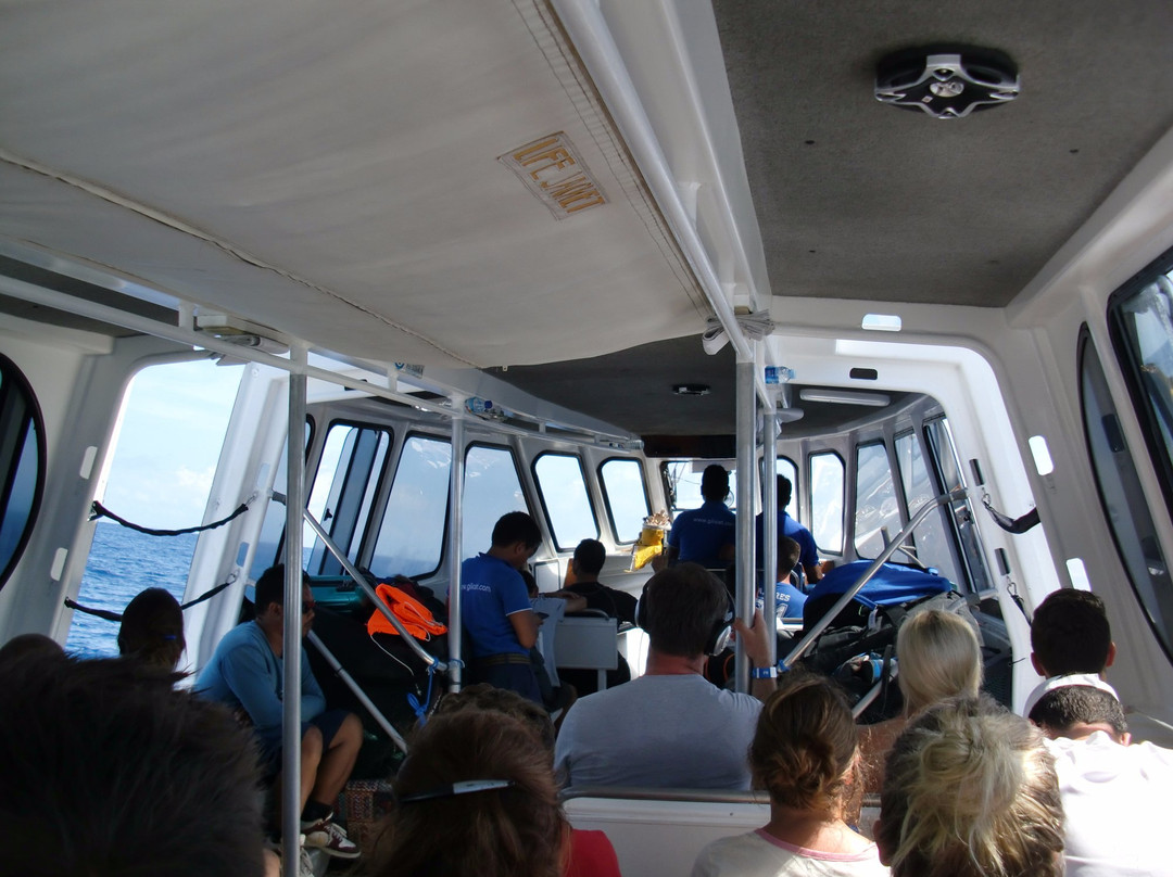 Gili Cat Fast Boat-沙努尔必去景点