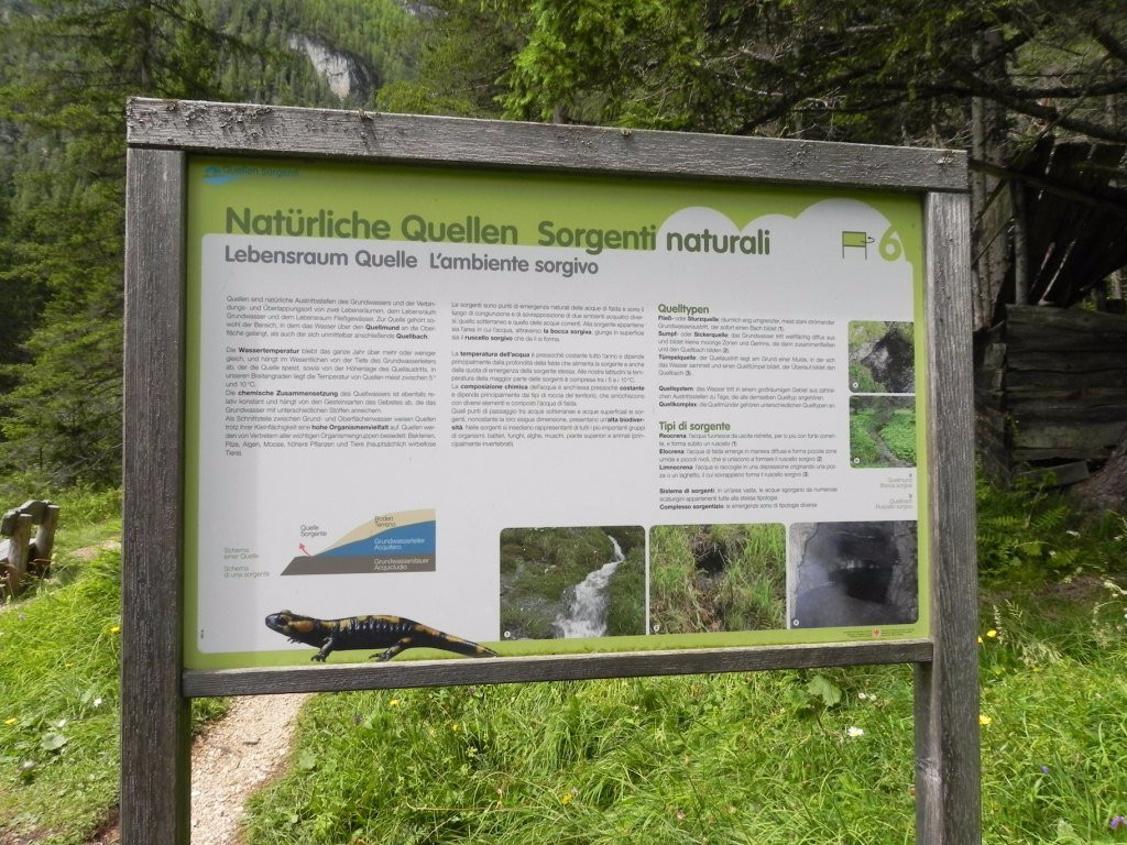 Percorso Didattico Biotopo-Braies必去景点