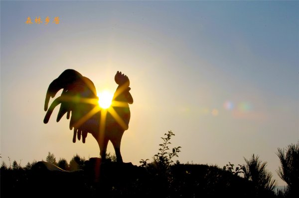森林乡居度假酒店-酒店景观
