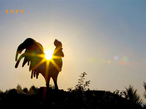 森林乡居度假酒店主图