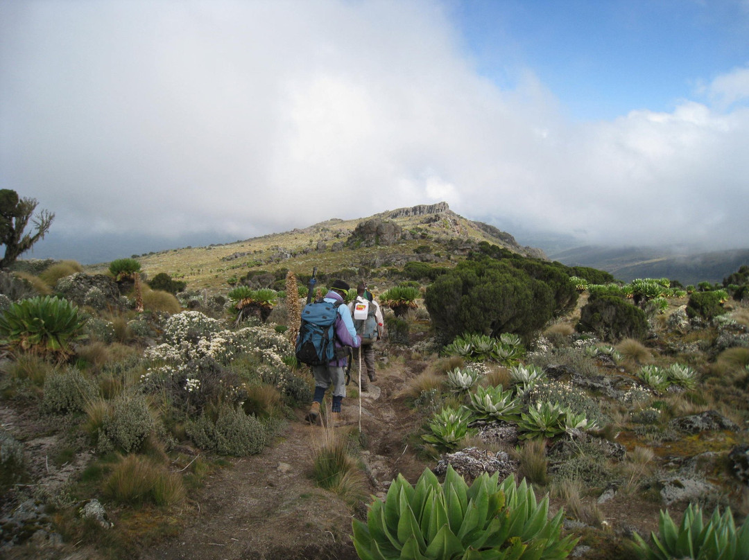 Mt. Kenya Guides and Porters Club景点图片
