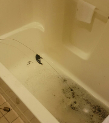 Six Flags Darien Lake Lodge on the Lake Hotel主图