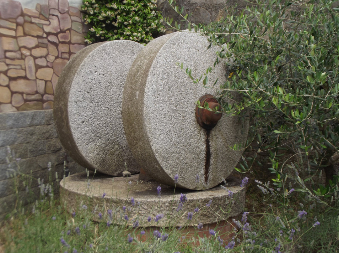 Frantoio Ghilgione-Dolcedo必去景点