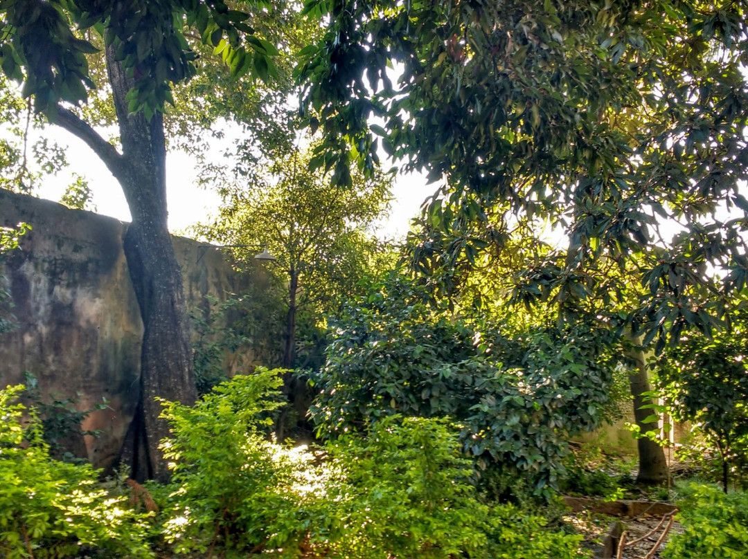 Museo Maria Irene Olarreaga Gallino-Salto必去景点