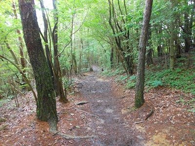 Tengutsuka-宝冢市必去景点