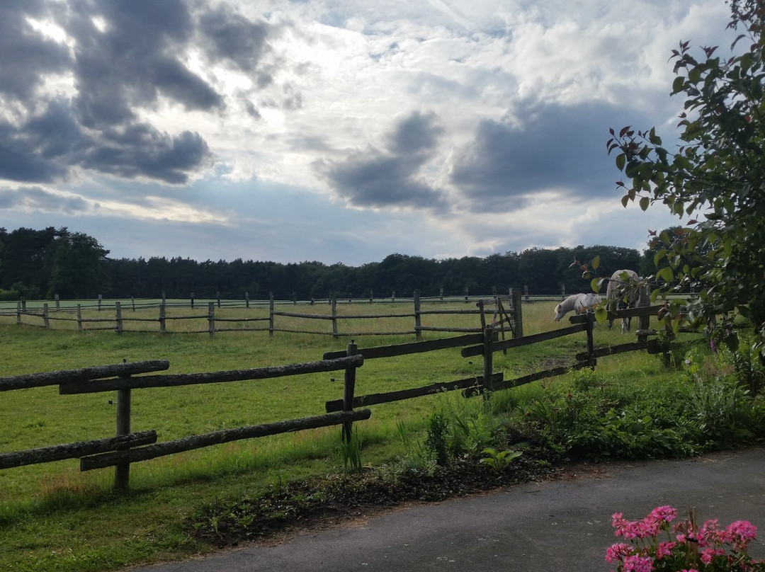 Landhaus Calluna主图