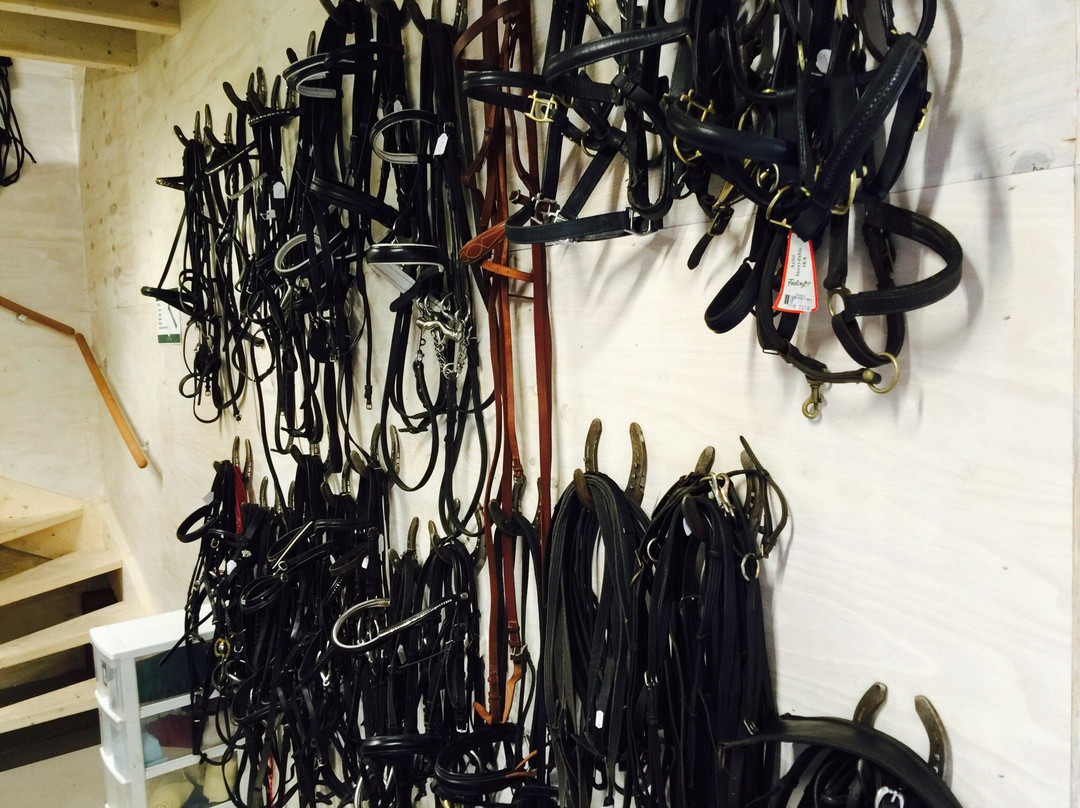 De Paardenkamp - Boerderij Vosseveld-索斯特必去景点