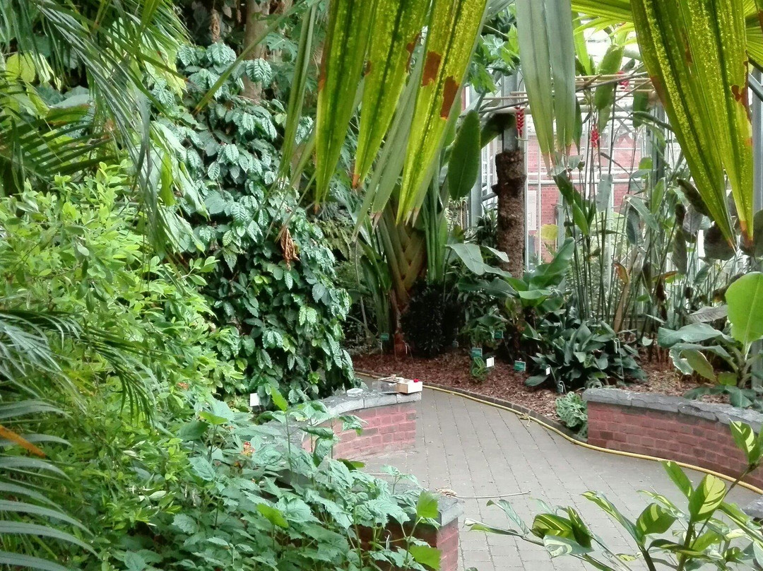 Jardin Botanique de Tourcoing景点图片