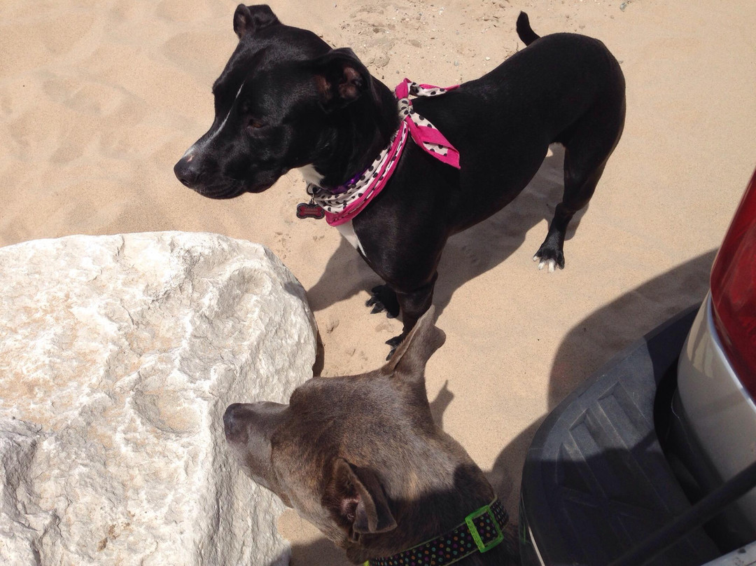 Buttersville Park-拉丁顿必去景点